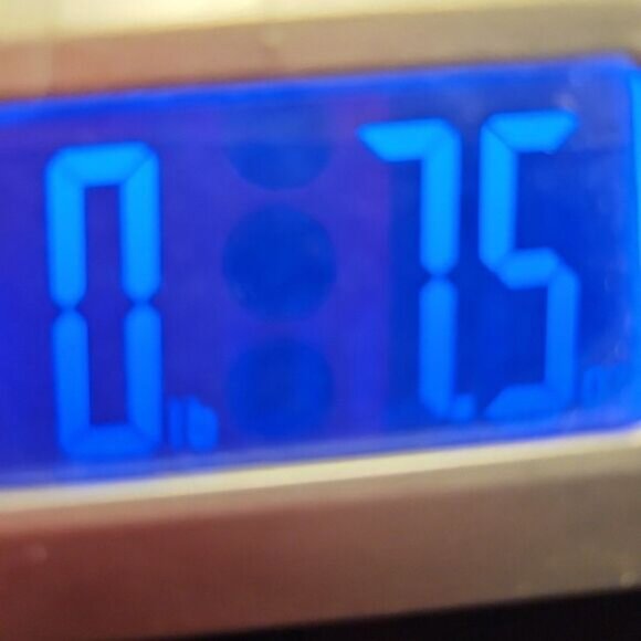 Cruise Wear & Co Short Sleeve Sz L Pink Embroidered Dragonfly Top - Picture 10 of 10